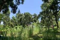 Landplot for Sale in Kaliasem