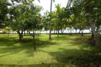 Prime Land for Sale - Development