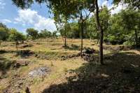 Ocean View Land for Sale in Pacung, North Bali