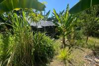 Land Plot in Kayuputih for Sale