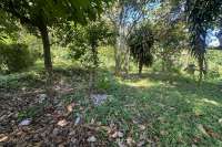 Hillside Plot in Kayuputih for Sale