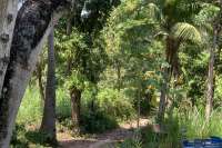 Landplot for Sale in Kaliasem