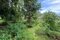 Land For Sale in Panji with Beautiful Sea View