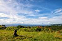 East Bali Land for Sale
