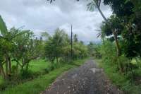 Strategic Plot in Lovina Central