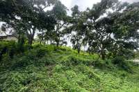 Land Hillside Kayuputih for Sale
