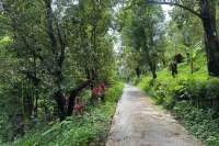 Land For Sale in Panji with Beautiful Sea View