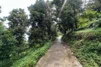 Land For Sale in Panji with Beautiful Sea View