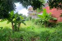 Strategic Plot in Lovina Central