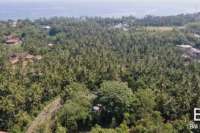 Large Land Plot For Sale in Temukus, Bali
