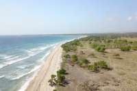Seaside Prime Land near Wera Beach for Sale
