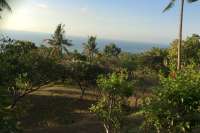 Land for Sale in Bali: 180 Degree Views