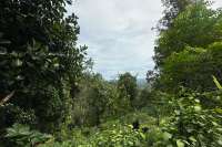Land For Sale in Panji with Beautiful Sea View