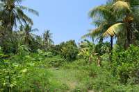 A Plot Land for Sale in Labuhan Aji