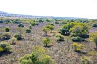 Huge Beachfront Land in Hamba Praing Sumba