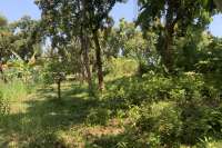 Landplot for Sale in Kaliasem