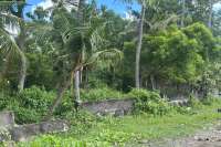 Rare Beachfront Land Close to Lovina