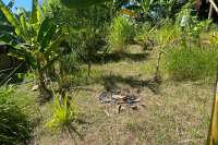 Land Plot in Kayuputih for Sale
