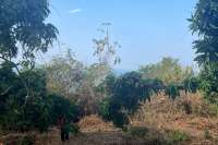 Cempaga Hillside Plot For Sale