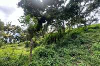 Land Hillside Kayuputih for Sale