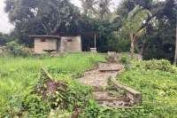 Panoramic Land for Sale in Kayuputih