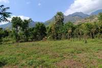 Freehold Land for sale in Pemuteran