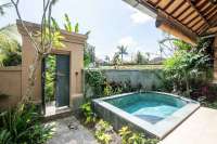 Cozy House in Penestanan for Sale
