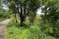 Land For Sale in Panji with Beautiful Sea View