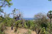 Hillside Plot with Ocean View