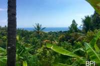Hillside Land For Sale In North Bali