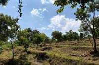 Ocean View Land for Sale in Pacung, North Bali