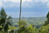Land Hillside Kayuputih for Sale