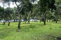 Prime Land for Sale - Development