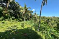 Hillside Plot in Kayuputih for Sale
