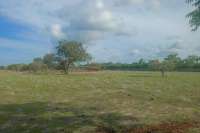 Tranquil Land For Sale in Sumba