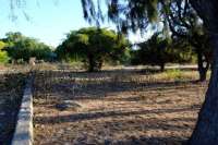 Beachfront Plots for Sale in Mondu