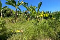 Land Plot in Kayuputih for Sale