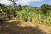 Land Plot In The Hills Of Lovina For Sale