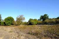 Beachfront Plots for Sale in Mondu