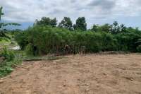 Hillside Land For Sale Bali