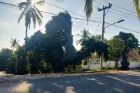 Land for Sale with Rice Field View