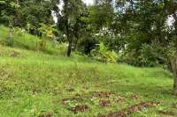 Land Plot in the Hill for Sale in Kayuputih