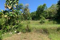 Sloping Land with Ocean & Jungle Views
