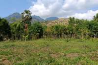 Freehold Land for sale in Pemuteran