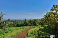 Land For Sale in Anturan, Lovina
