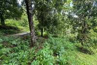Land For Sale in Panji with Beautiful Sea View