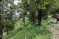Land For Sale in Panji with Beautiful Sea View
