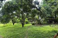 Prime Land for Sale - Development
