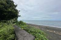 Large Plot of Land for Sale 1.6ha