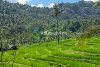 Land with beautiful views in Sambangan Hills